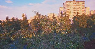 Симулятор Сидения на Крыше