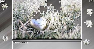 Super Jigsaw Puzzle: Generations - Winter 2022