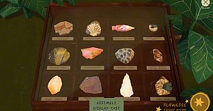 Fossil Quest