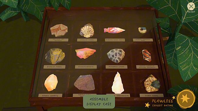 Fossil Quest