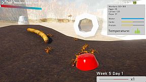 Ant Keeping Simulator