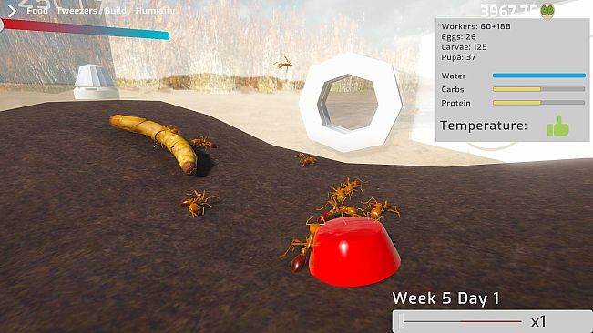 Ant Keeping Simulator