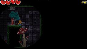 Chinchillas Attack Again