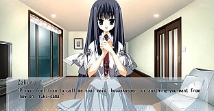 Wonderful Everyday Down the Rabbit-Hole