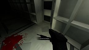 The SS Destiny Disaster