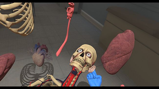 Human Constructor VR