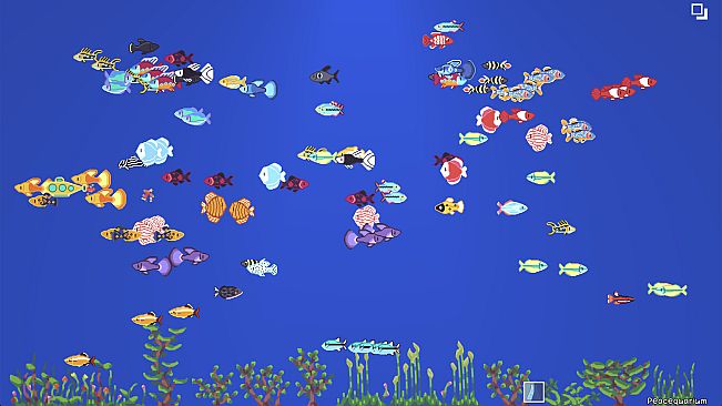 Peacequarium
