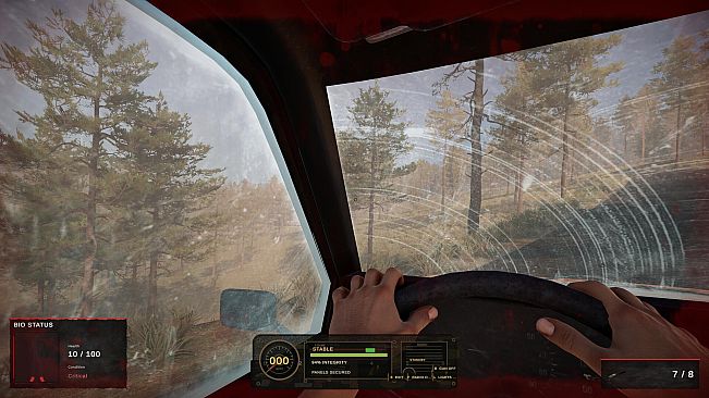 Road of a Survivor
