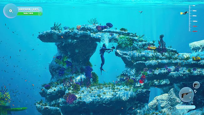 Dive and Dine Simulator