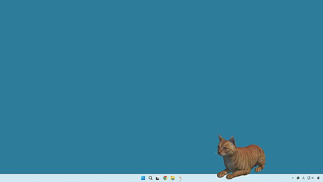 desktop my cat