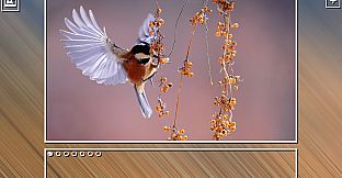 Super Jigsaw Puzzle: Generations - Birds Puzzles