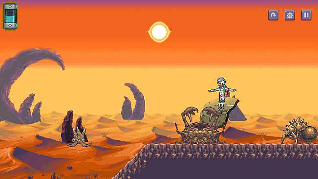 Galaxy Pilgrim
