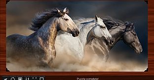 Jigsaw Puzzle World - Horses