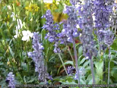 tomorrow is my birthday