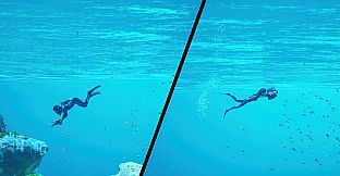 Dive and Dine Simulator