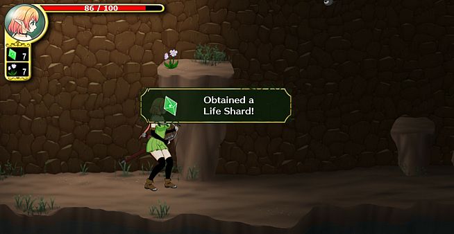 Nifa's First Mission