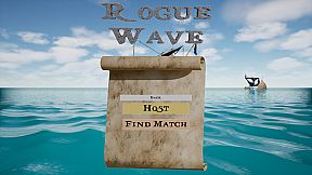 Rogue Waves