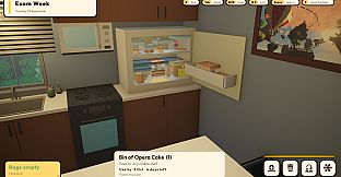 Fridge Organizer