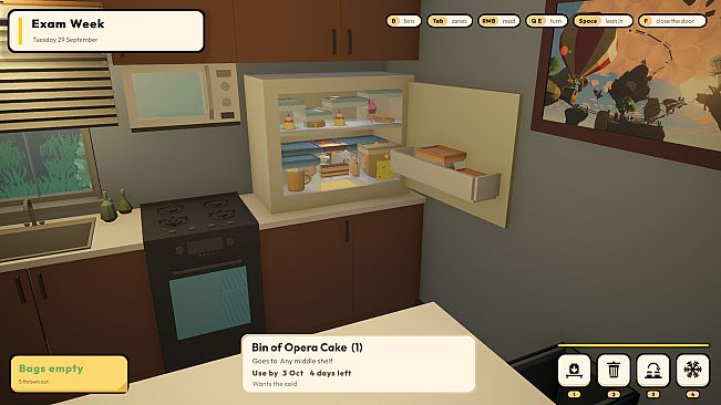 Fridge Organizer