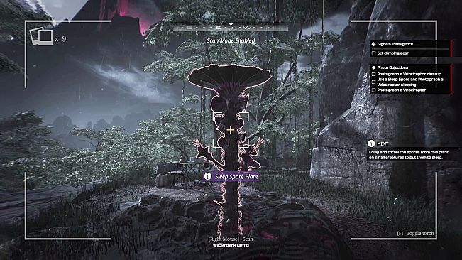 Wilderdark