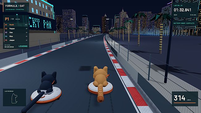 Formula Cat