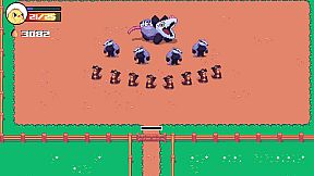 Why Did The Chicken Cross The Road?