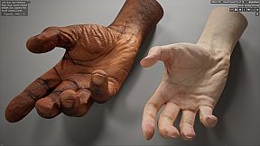 HAELE 3D - Hand Poses Pro - Drawing References