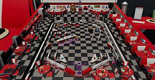 Roxy Raccoon's Pinball Panic - Delightful Diner