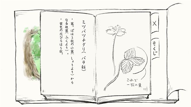 Satoyama Note: Spring Walk