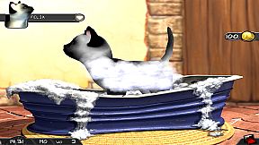 My Best Friends - Cats & Dogs