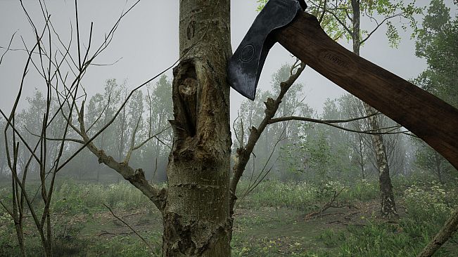 Forest Doesn’t Care