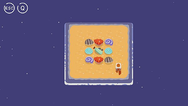 A hermit crab is finding a house