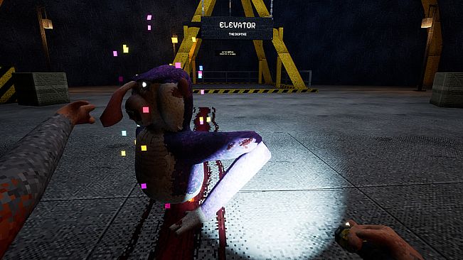 Curiosity Kills