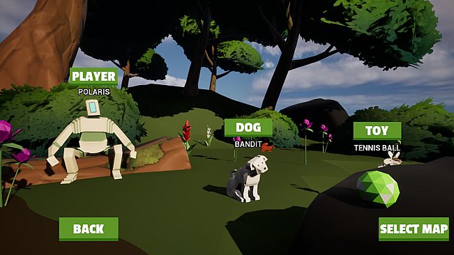 Dog Walking Adventures