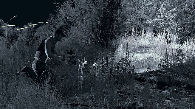 Arma 2: Private Military Company