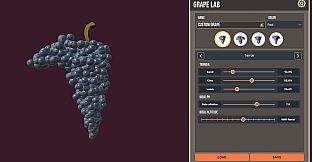 Hundred Days - Grape Lab