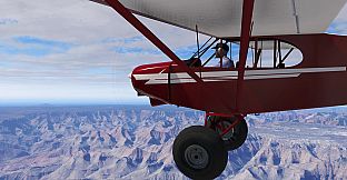 X-Plane 11 - Add-on: Aerosoft - ProCam