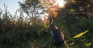 theHunter: Call of the Wild - New Species 2018