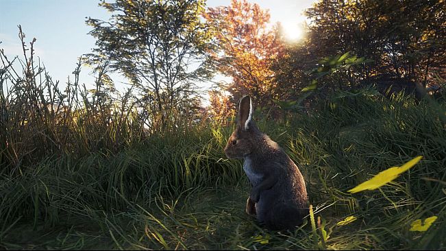theHunter: Call of the Wild - New Species 2018