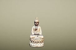 Memory Traces: Japan