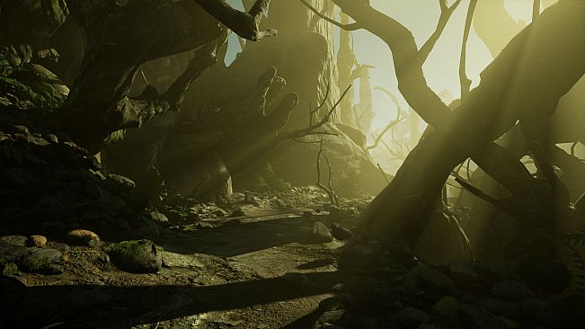 RPGScenery - Dark Wood Scene