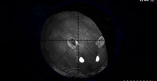 Vermin Protocol