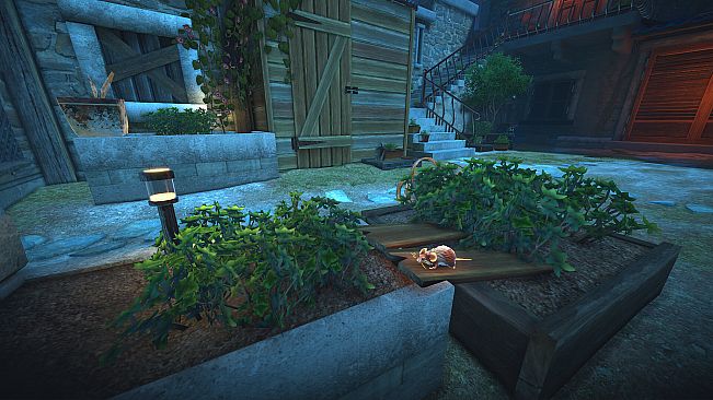 The Spirit and the Mouse