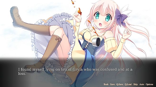 Vision of Aurora Borealis - Fanbook and OST