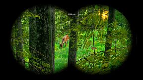 Wild Hunter: Sniper Rifle Adventures Simulator
