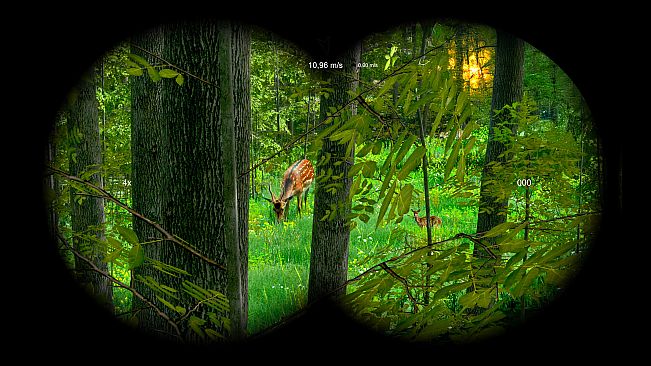 Wild Hunter: Sniper Rifle Adventures Simulator