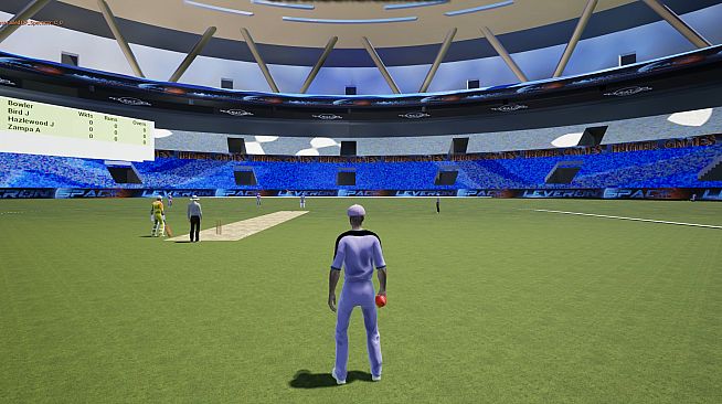 VR Cricket