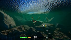 Fish Swarm: Within Inches