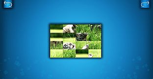 PUZZLE: CATS & DOGS - Puzzle Pack: Summer Cats