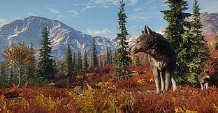 theHunter: Call of the Wild - Yukon Valley - Windows 10